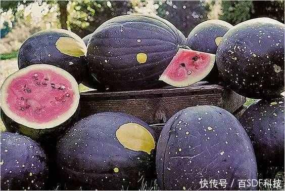 网曝吃瓜黑料24小时