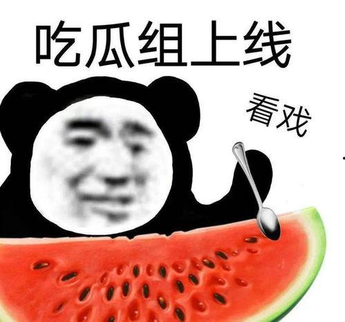 爆光黑料吃瓜,爆光黑料背后的真相与吃瓜群众的热议